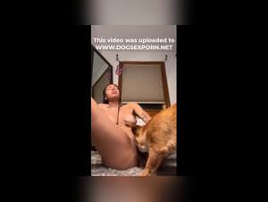 Wild dog sex at home session