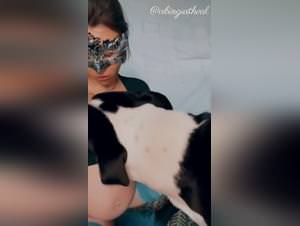 Sex Zoo: Art of Zoo and Animal Pornography Videos