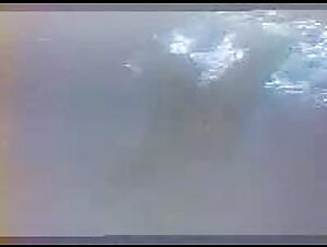 A love story like no other: dolphin and woman