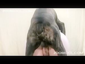 Milf and dog: a bestial encounter