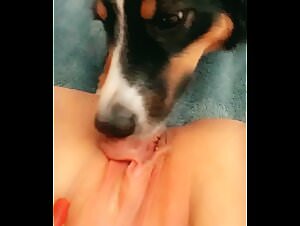 Extreme zoophilia scenes with a milf and her dog