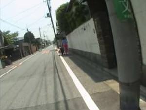 Bitch fucks dog, animal hardcore