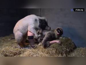 Yasmin Dog Bang Hardcore Part 2