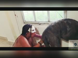 Dirtydoglinks: Artofzoo porn and dirty dog   fuck