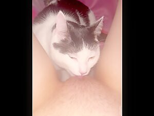 Forbidden meeting: woman and cat