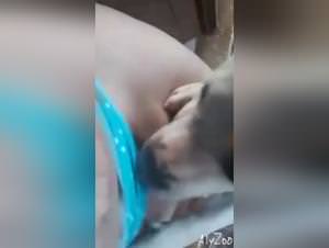 Animalsex: brutal dog fuck sessions