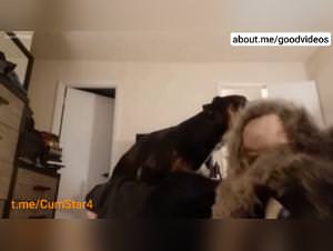 Girl Knotted by Her Dog