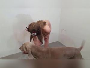 Dog fucks, Bestiality GIF Raw