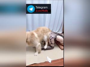 Asian goddess fucks her dog brutally