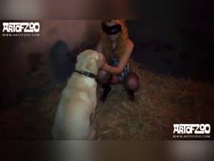 Bitch fucks her dog - XXX Videos