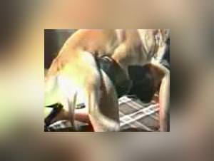 Knotty: She Gets Dogged Wildly