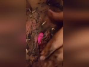 Worms In Filthy Pussy: Extreme Sex