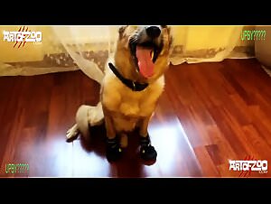 Succumb to K9 Cock:  Girl on Dog Extreme Porn - ArtOfZoo-Bitchcraft