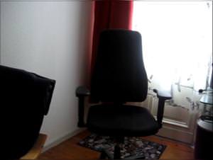 Girl plays with bitch dog