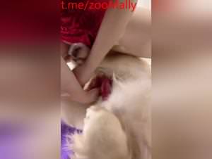Chinese couple dog sex, explicit videos