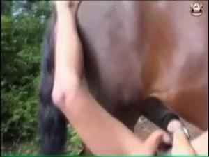 Live Cam: Bitch Fucks Dog, Extreme XXX