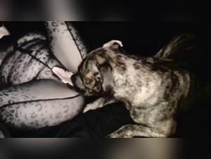 Zoofilia extreme, hot babes & doggy style