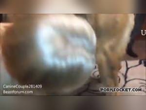 Doggy Porn with Dildos Extreme