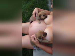 Lactating Puppy Sex: Woman Indulges with Dog