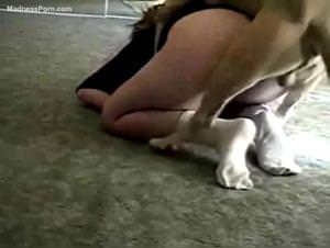 Slut Dog Bang 1