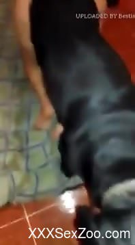 Quickie with an assertive dog that likes it doggy style