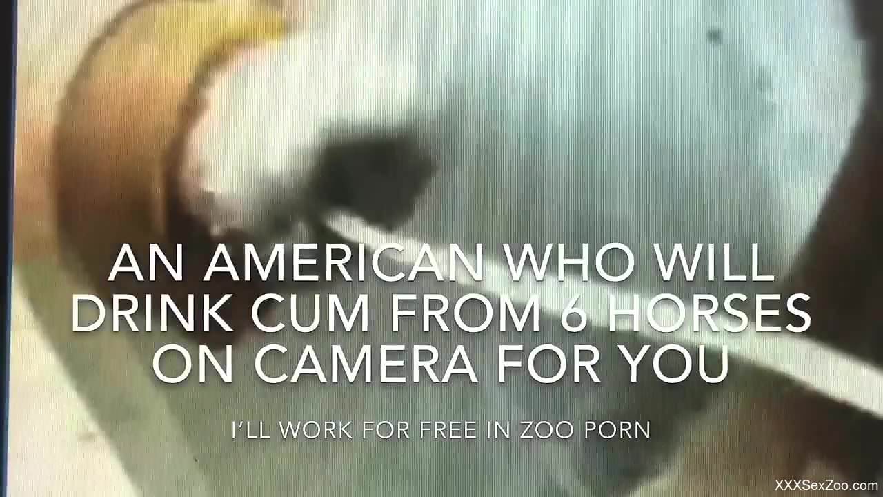 Gorgeous zoophile daddy sucking dick for the cam