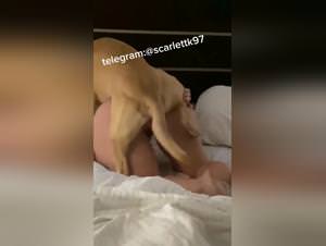 Doggy Style Sex - Hardcore Videos