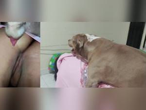 Girl Dog Sex 98/144 Extreme Scenes