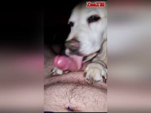 Dog lick, raw sex frenzy