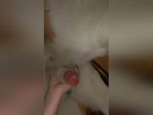 Teen girl craves her dog's massive cock