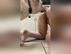 Porno Animal: Vixen's Extreme Dogfucking