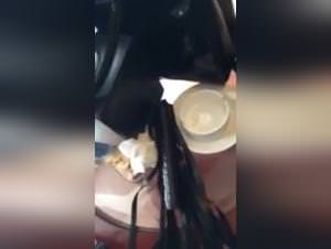 Milly Dog Fuck, Extreme Part 1