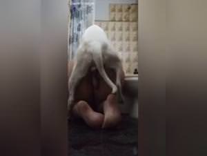 Latina Fucks Elephant Huge Cock