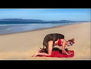 Extreme Zoophilia Compilation: Aniamls & Sex, Beastiality HD