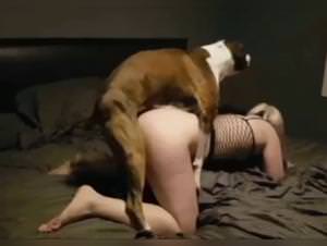 Dog fucks Woman - Hardcore Zoophilia