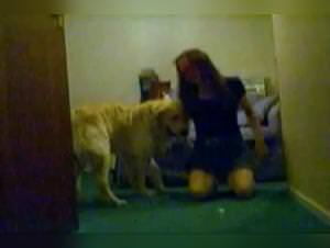 Shy Lark Dog Bang Part 1