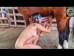 Horse wild sex