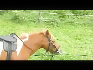 Ponyriding: An Extreme Sexual Experience