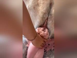 Raw sex: pink mare & her throbbing cock