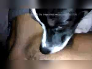 Mature blonde fucks huge dog