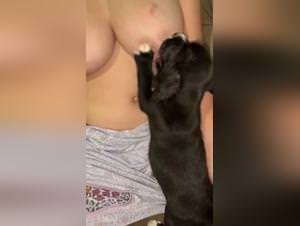 Beastly Nursing: Animal Lust Unleashed