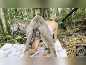 Wild female bestiality delights