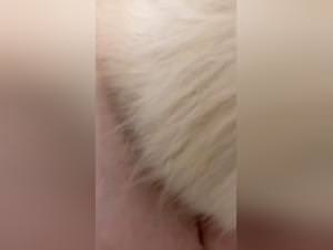 Dog Bangs MILF Part 1