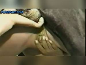 Blonde slut doggystyle with massive dog