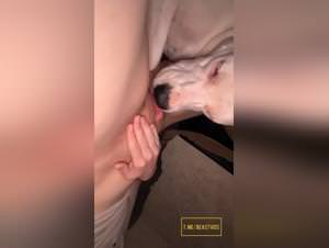 Slut Licking Dog Xxx Videos
