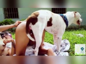 Dog Sex Video: Alison & Lina - Beast Tube Action