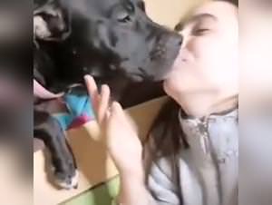 Extreme doggystyle bestiality, fuck me hard