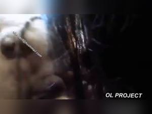 Smoking dog sex tablet: Zooxvideo videos for slutty women