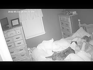 Ipcam - A Sensual and Wild Encounter