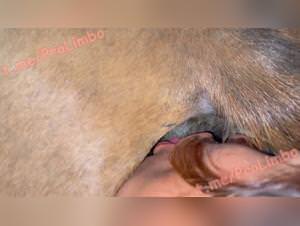 Milly Dog Bang Hardcore Part 1